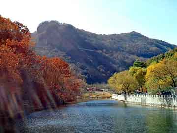 澳门二四六天天彩图库，深圳救护车